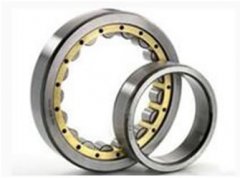 Cylindrical Roller Bearing